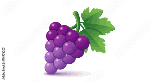 Ripe Purple Grapes with Green Leaves.