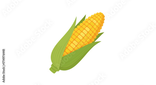 Fresh Yellow Corn on the Cob with Green Husks.