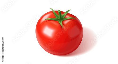Ripe Red Tomato with Green Stem on White Surface.