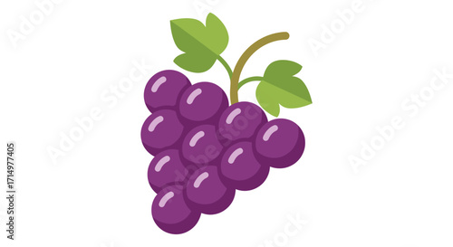 Cartoon Illustration of a Bunch of Purple Grapes with Leaves.