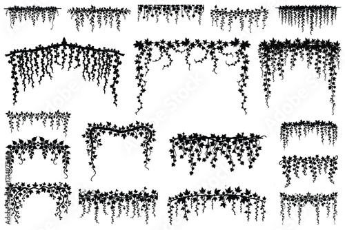 Collection of black vine and leaf silhouettes leaves