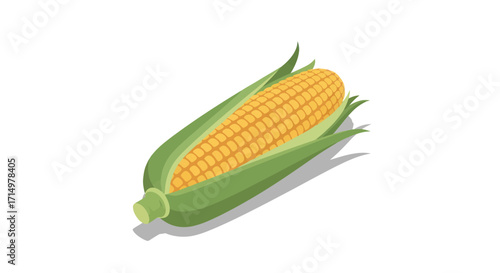 Freshly Harvested Corn on the Cob with Green Husk.