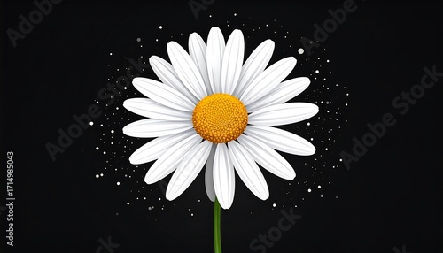 Elegant white daisy against a striking black backdrop