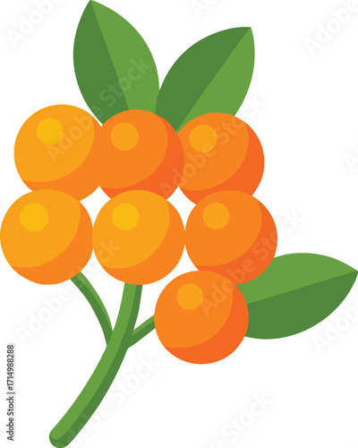 rowan berries vector icon illustration for autumn fall season