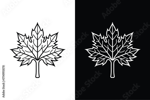 Sycamore flat icon vector on White Background Vector Art Illustration on white background.