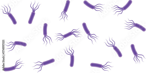 Purple bacteria illustration, rod-shaped microbes, flagella movement concept, microbiology vector, scientific drawing, infection study, white background
