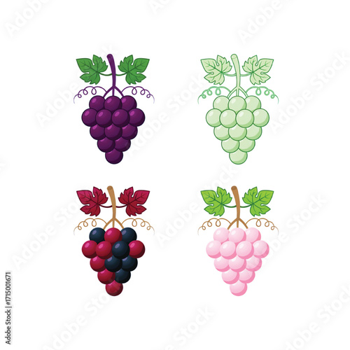 Colorful Grape Bunches with Leaves