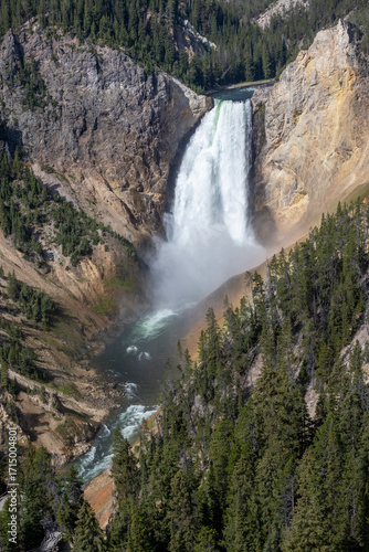 Yellowstone Falls