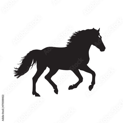 horse silhouette vector white background 
