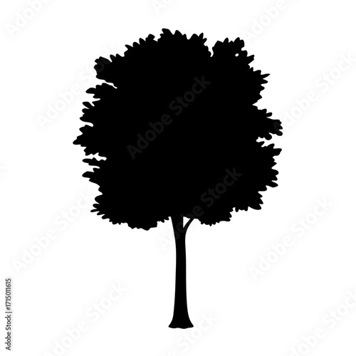 Detailed silhouette of a leafy tree with a textured crown in black