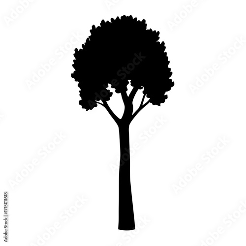 Silhouette of a majestic tree with dense foliage against a white background
