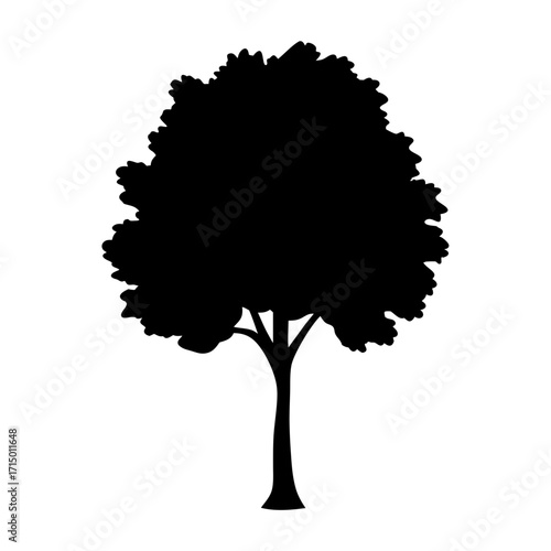 Dark tree silhouette stands alone with detailed leaves against white background