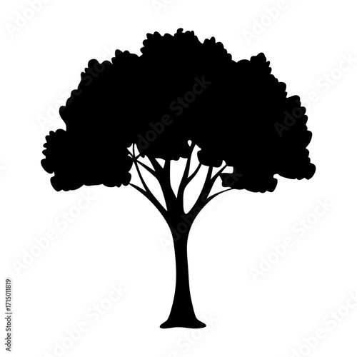 Silhouette of a lush tree with dense foliage and intricate branches