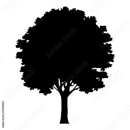 Silhouette of a majestic tree with thick foliage against a white background