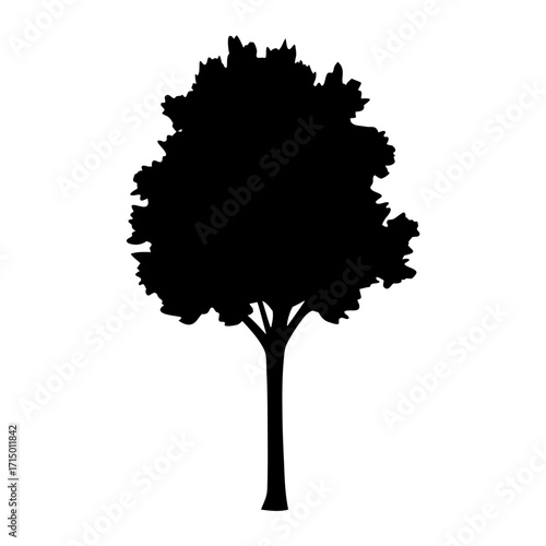 Single black tree silhouette with broad crown and sturdy trunk illustration