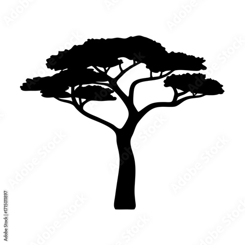 Silhouette of a spreading tree with branches on a white background