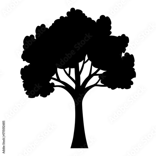 A Silhouette of a tree with broad leaves and thick branches.