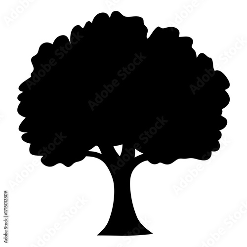 Silhouette of a large tree with rounded foliage, strong presence and character