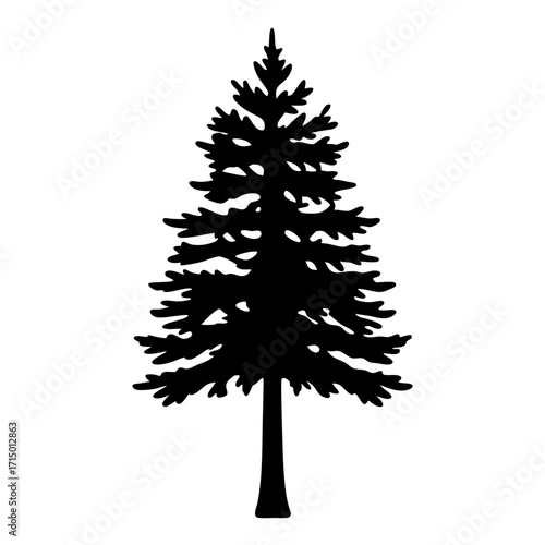 Silhouette of a Christmas Tree or Pine Tree with Detailed Branches