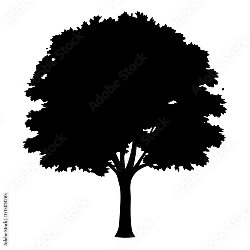 Monochromatic Tree Silhouette with Dense Canopy and Well Defined Trunk Structure