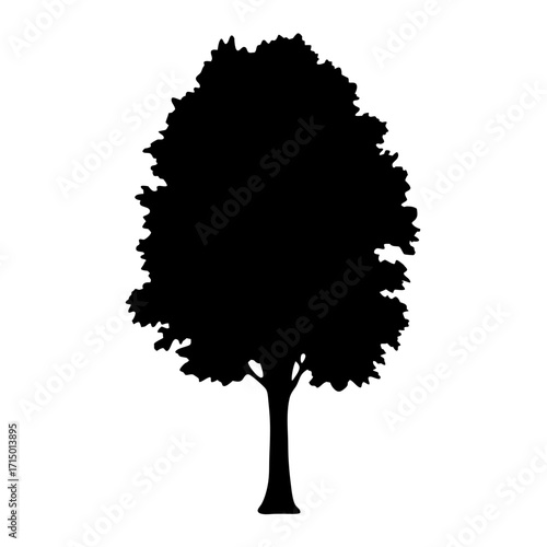 Silhouette of a large full tree with dense leaves against white background