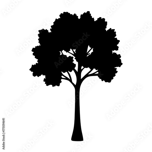 Monochrome silhouette of a large mature tree with dense foliage
