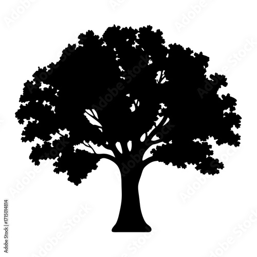 Silhouette of a majestic tree with a full canopy of leaves