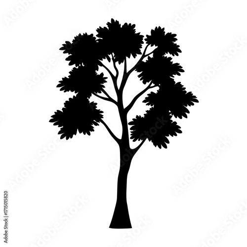 Silhouette of a mature deciduous tree with full foliage and branches