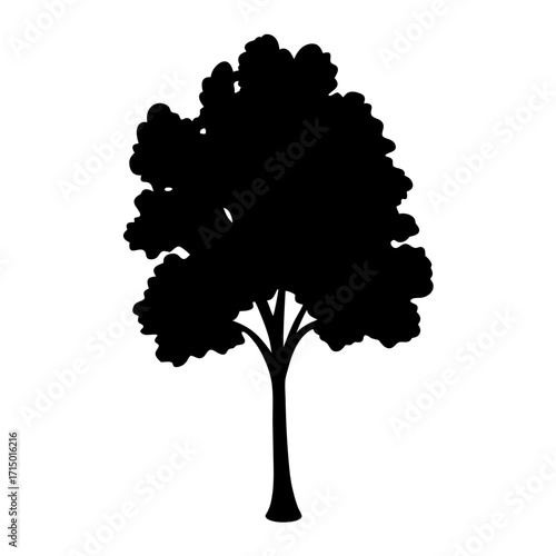 Black silhouette of a tree with a full crown and a sturdy trunk