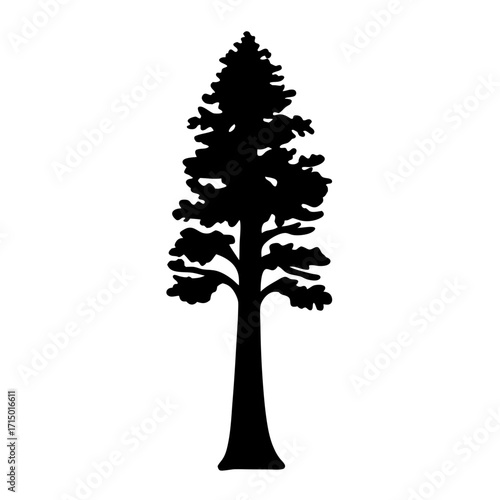 Monochromatic silhouette of a coniferous tree, with dense foliage at the top