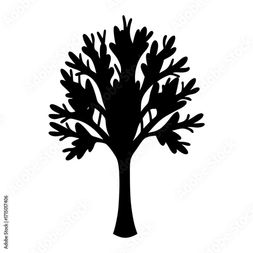 Silhouette of a deciduous tree with detailed branching and leaf structure