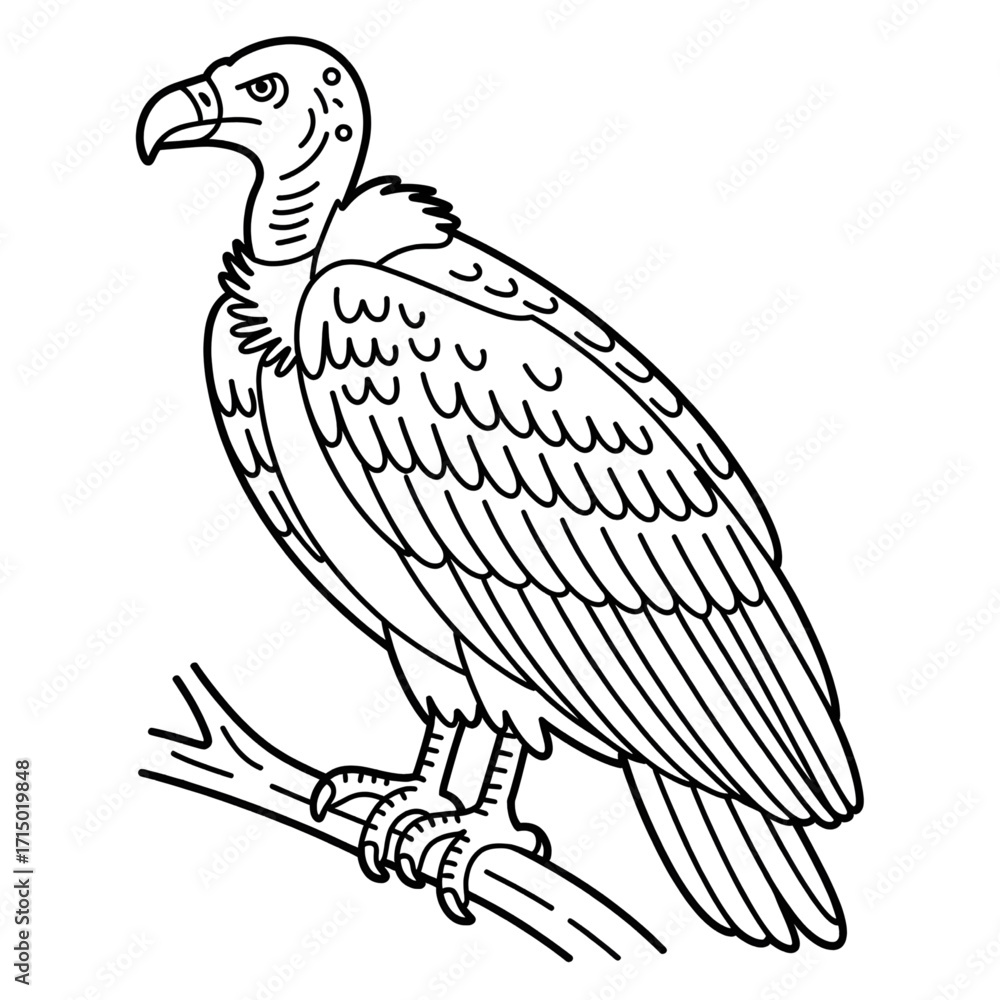 Fototapeta premium vulture cartoon isolated on white