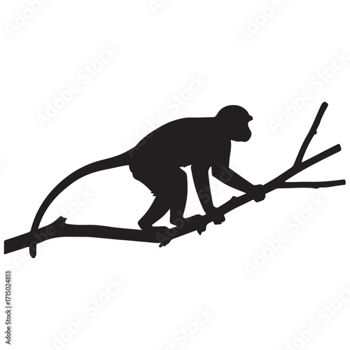Monkey silhouette vector on white background 