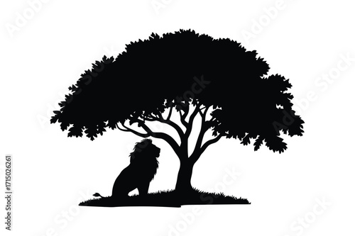 Lion resting under a large tree silhouette
