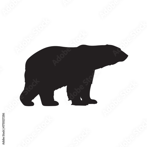 silhouette of a polar bear vector image on white background 