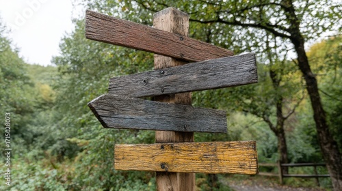 Wooden Directional Signpost In Forest Pathway. Navigational Guide In Natural Setting