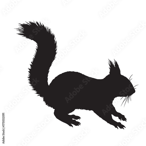 Squirrel silhouette vector on white background 