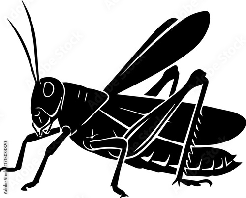 Intricate silhouette of a grasshopper showcasing delicate wing and leg details, perfect for nature themes.