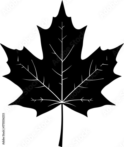 Elegant black maple leaf silhouette symbolizing autumn's beauty and Canadian pride, perfect for nature designs