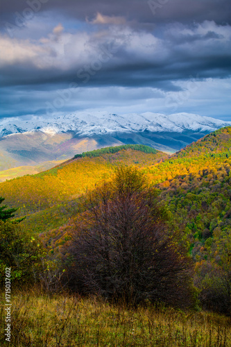 autumn landscape in the mountains