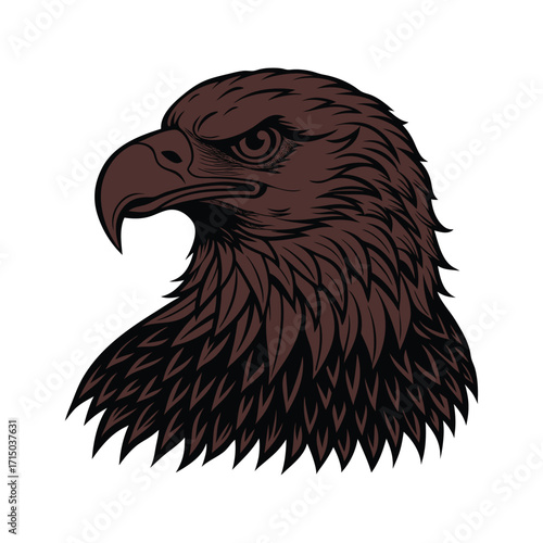 Black and white eagle head profile illustration with detailed feathers Keywords: eagle, head, profile