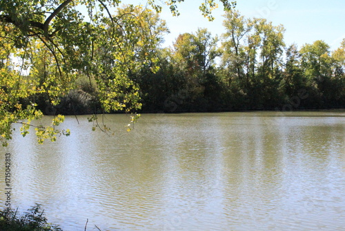 Calm River Scene: Autumn Trees and Tranquil Water