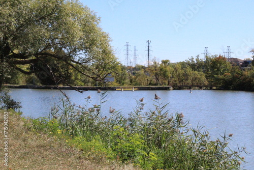 Serene Lakeside Vista: Tranquil Water, Lush Foliage, Summer Day