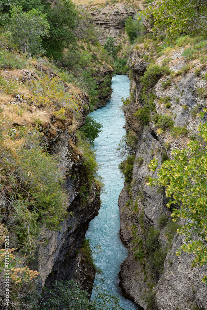 Obraz premium mountain river in the mountains