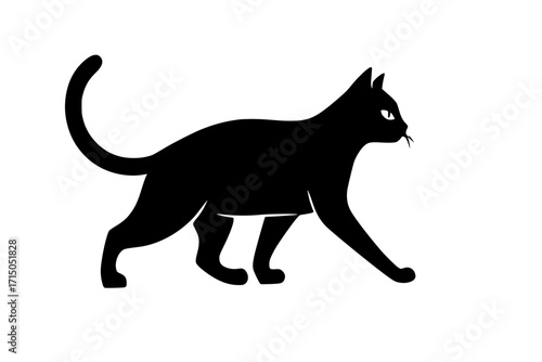 Elegant Black Cat Silhouette Walking with Subtle White Eyes

