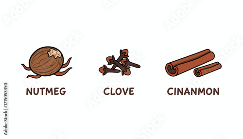 Illustrated set of warming spices nutmeg clove and cinnamon Great for cooking and baking