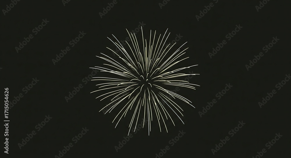 Obraz premium Fireworks Burst