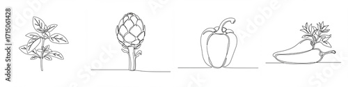 Line art illustrations of vegetables and herbs for Pizza-making on white background  