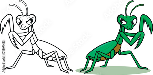 Cartoon praying mantis illustration with outlined version perfect for coloring books and educational insect graphics, adding a playful touch to nature-themed projects or children's designs