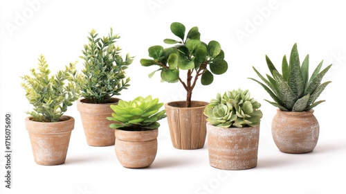 Wallpaper Mural Assorted potted plants in various shapes and sizes sit together on a smooth surface. The green foliage adds a vibrant touch, creating a refreshing atmosphere in any indoor setting. Torontodigital.ca
